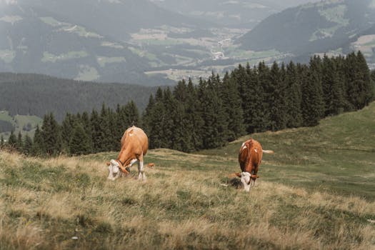 Stardew Valley Mobile Review: Farming, Relaxation, and Timeless Charm